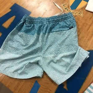 Chubbies bathing suit